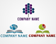 Accountancy Logo Vector
