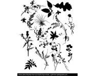 Silhouette Vector Plant