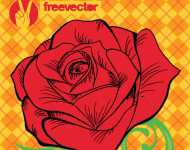 Rose Vector