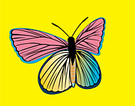 Colorful Vector Butterly