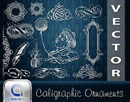Calligraphic Ornament Vector