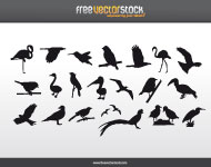 Vector Collection of Birds Silhouettes