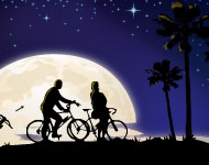 A Couple In The Moonlight Vector
