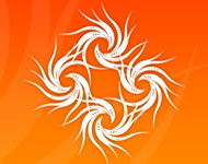 Dragon Spiral Vector