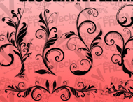 Floral Ornaments Vector