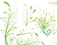Graceful Leaves Twirls Vector