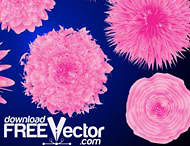 Pink Flower Vector Design