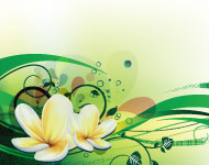 Plumeria Vector