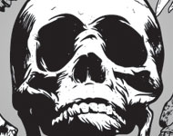 Skull Vector Graphics