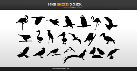 Vector Collection of Birds Silhouettes