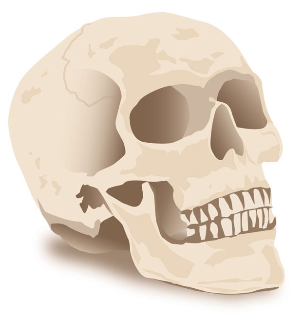 Halloween Skull Vector Art