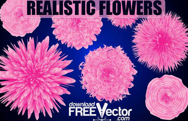 Pink Flower Vector Design